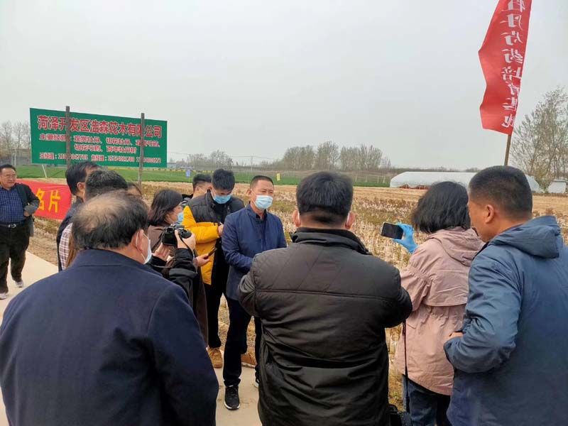 市牡丹產(chǎn)業(yè)中心、市宣傳部的領導及各大媒體來公司基地考察指導工作