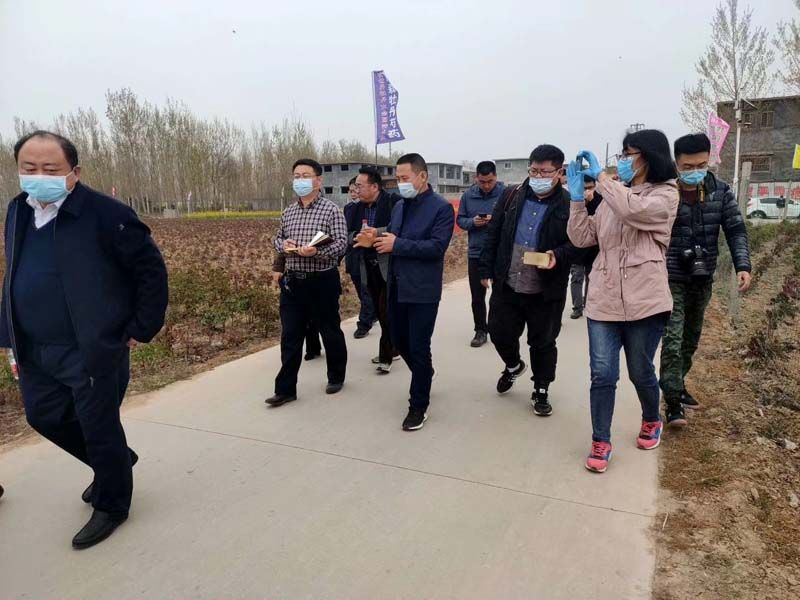 市牡丹產(chǎn)業(yè)中心、市宣傳部的領導及各大媒體來公司基地考察指導工作